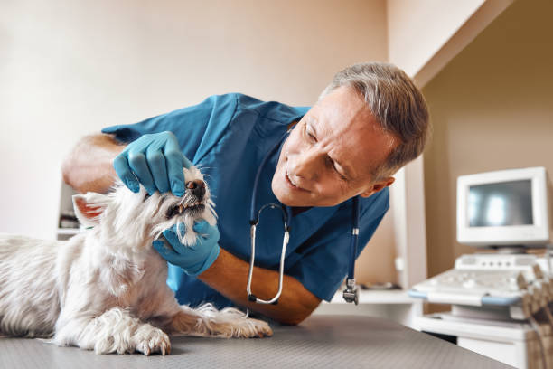 Best Emergency Dental Surgery in Converse, TX